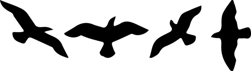 bird vector illustration isolated on background