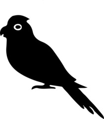 bird vector illustration isolated on background