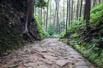 熊野古道