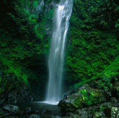 Fototapeta na wymiar Waterfall on Sumatra island in Indonesia