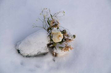 An old unnecessary bouquet with a white rose on the fresh snow.Discarded flowers.