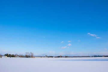 Snowfields and clear blue sky in Hokkaido (Eniwa City, Hokkaido, Japan)