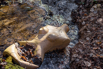 Discarded in nature old female mannequin