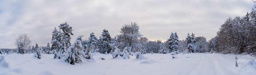 Schneeschuhwandern am Klippeneck Spaichingen
