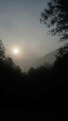 Naklejka premium silhouette of a very dense and beautiful view of mountains and trees