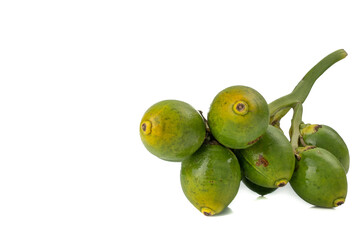 Fresh Areca nut palm or Betel nut palm (Areca catechu Linn.) isolated on white background.