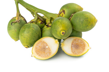 Fresh Areca nut palm or Betel nut palm (Areca catechu Linn.) isolated on white background.