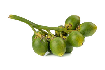 Fresh Areca nut palm or Betel nut palm (Areca catechu Linn.) isolated on white background.