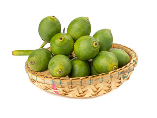 Fresh Areca nut palm or Betel nut palm (Areca catechu Linn.) isolated on white background.