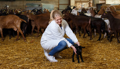 Young female farmer in white coat caring about small goatlings on goats farm..