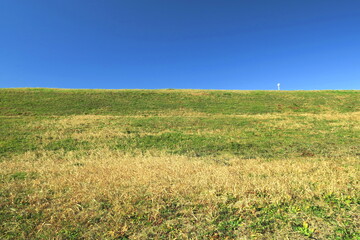 枯れ草と若草のある冬の江戸川土手風景