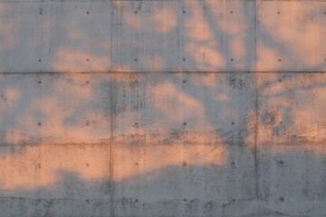 コンクリートの壁と木の影