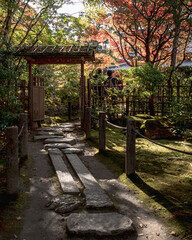 Beautiful Autumn Leaves in Kyoto Japan