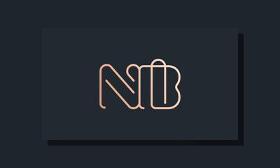 Minimal clip initial letter NB logo