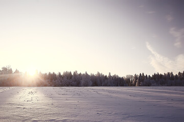landscape winter forest, seasonal beautiful view in snowy forest december nature