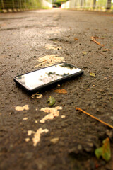 smartphone on the ground with leaves