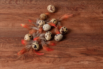 assortment of quail eggs and beautiful feathers.selective focus