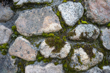 Natural background of beautiful rock with green fresh moss on the ground.