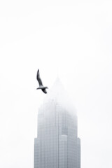 foggy cleveland skyline during winter