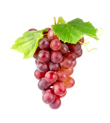 red grapes bunch isolate on white background