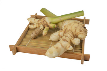 Fresh Mango ginger, White Turmeric, Temu mangga (Curcuma mangga Valeton & Zijp) isolated on white background