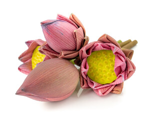 Bouquets of fresh pink lotus for worship Buddha or pray respect to Buddha