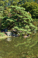 Naklejka premium Pond in the Ninomaru Garden at the Tokyo Imperial Palace. Tokyo. Japan