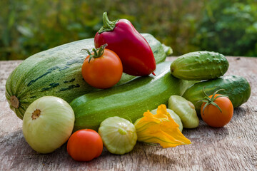 A pile of fresh vegetables on a wooden table. Harvest green zucchini, cucumbers, squash, red tomatoes, sweet peppers, illuminated by the sun.