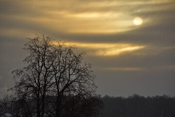 Fototapeta na wymiar Cold sun in the winter cloudy sky.