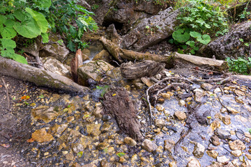 Springs, primary sources, the beginning of mountain and other rivers, a small stream among rocks in the summer.