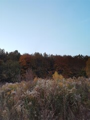 autumn in the mountains