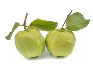 Guava fruit, Guayaba, Goiaba, (Psidium guajava Linn) tropical fruit isolated on white background.