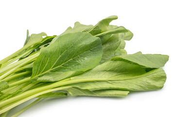 Choy Sum or Chinese Cabbage isolated on white background