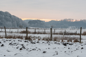 Zaun im Winter  auf verschneiten Weiden mit Wald im Hintergrund am abends