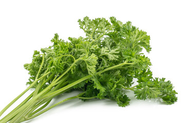 Fresh parsley green leaves (Petroselinum crispum) isolated on white background