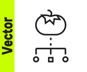 Black line Genetically modified food icon isolated on white background. GMO fruit. Vector.