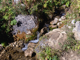 Springs, primary sources, the beginning of mountain and other rivers, a small stream among rocks in the summer.