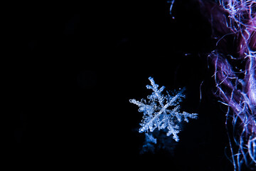 snow flake sharp detail makro cold blue winter 2021 covid 