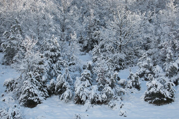 View of Pettino mountain in Umbria in winter season with snow
