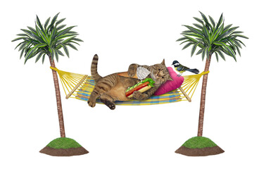 A cat is lying in a hammock between palm trees and eating a hot dog and an ice cream cone. White background. Isolated.