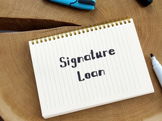 Conceptual photo about Signature Loan with written text.