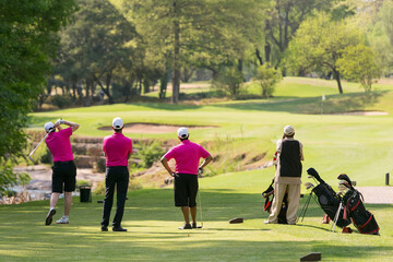 Back view of people playing gol © Michael Turner/Wirestock