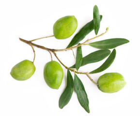 Olive fruit and olive leaves on a white background