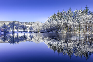 Belgique Wallonie Gaume Habay hiver bois foret nature lac neige
