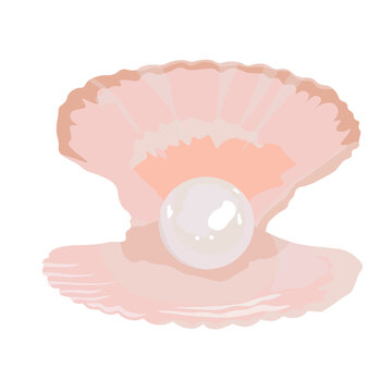 Pearl in the shell vector stock illustration. Sea shell of mother-of-pearl shades with a large bead inside. Oyster. A piece of jewelry. Poster. Isolated on a white background.