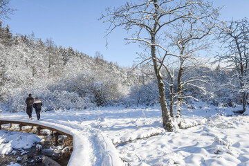 Belgique Wallonie Gaume Habay hiver bois foret nature lac neige passerelle couple promeneurs