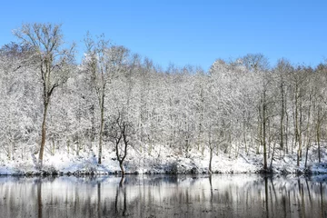 Foto auf Leinwand Belgique Wallonie Gaume Habay hiver bois foret nature lac neige © JeanLuc