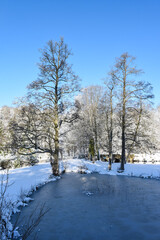 Belgique Wallonie Gaume Habay hiver bois foret nature lac neige