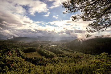 Wandern im Pf&auml;lzer Wald