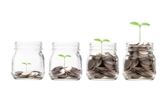 Increasing growth coins money inside transparent piggy saving jar with plant ,investment profit and dividend money saving concept. - Powered by Adobe
